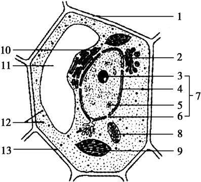 Fig.01